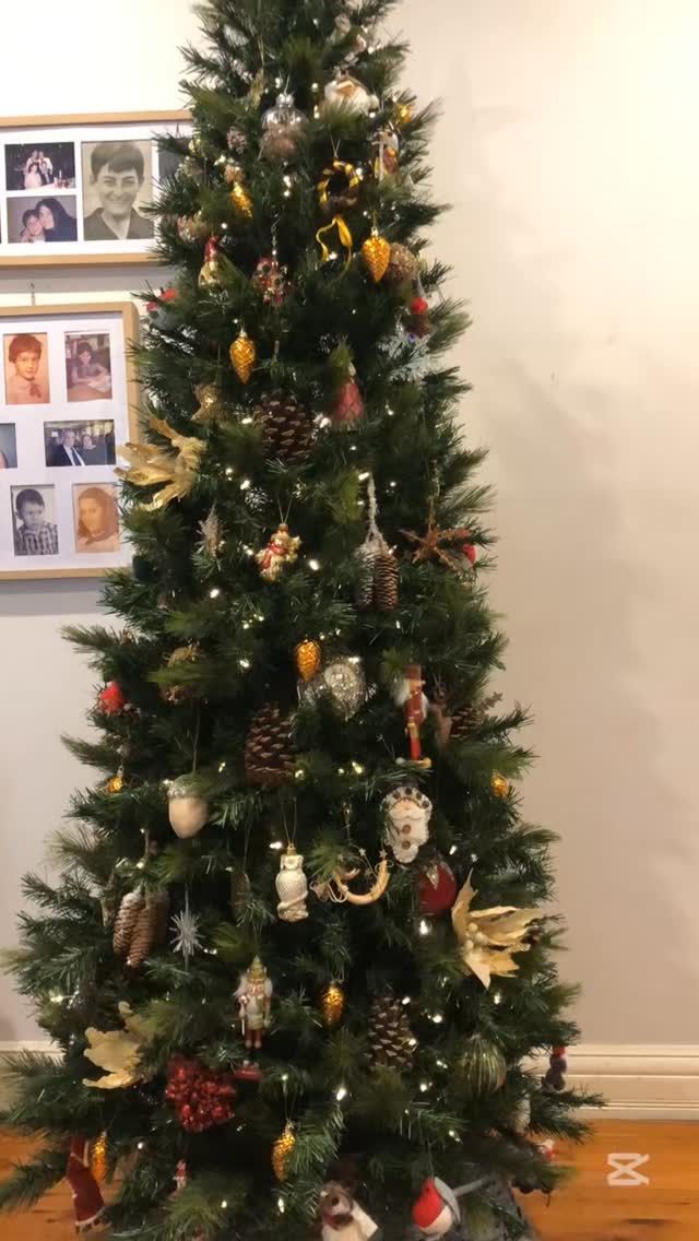 Step 3: DONE ✨🎄
And just like that… the tree is officially complete. I love watching how people decorate their trees, and some are simply amazing. Like my sister in law’s tree. For me, I like things more traditional and with a whole lot of decorations in all shapes and sizes - including real pine cones 🌲 

The warm weather made this year’s decorating a slow, steady process — but the final result was so worth it. ✨
Thanks for following along… the Christmas magic has truly arrived. 🌟🎁

#ChristmasTree #ChristmasVibes #FestiveSeason #HolidayMagic #ChristmasDecor TreeDecorating TisTheSeason HomeForTheHolidays FestiveFeels ChristmasInspo DeckTheHalls