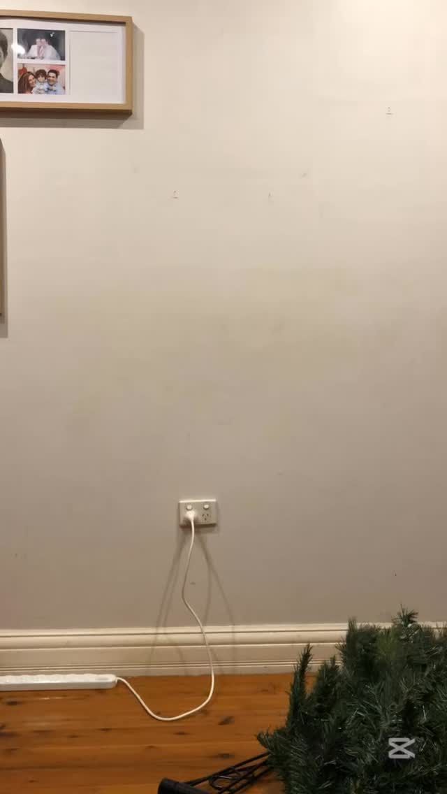 Step 1: DONE ✨🎄
The tree is up, the lights are twinkling, and the Christmas magic is officially underway. ✨💫
Can’t wait to add the decorations next… stay tuned for step 2! 🎁🤍

#ChristmasTree #ChristmasVibes #FestiveSeason #HolidayMagic #ChristmasDecor #TreeDecorating #TisTheSeason #HomeForTheHolidays #FestiveFeels #LightsOn #ChristmasInspo